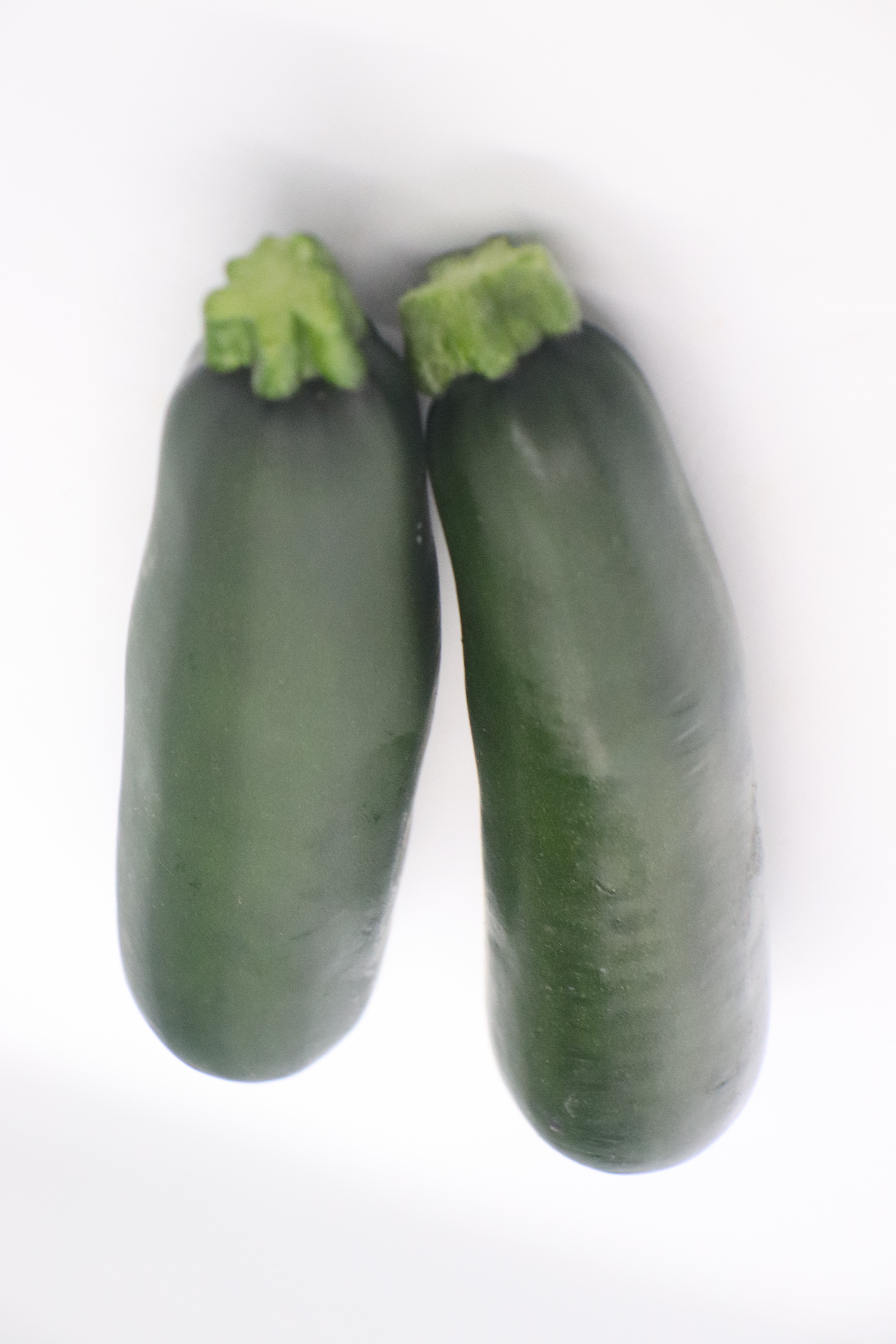 Green Zucchini – The Kind Grower
